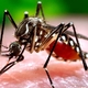 Community member contracts Zika Virus in Central America